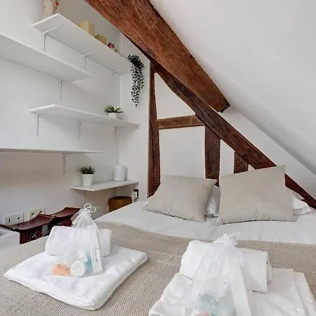 Loft Place Des Vosges Appartamento Parigi